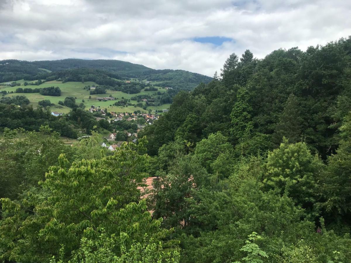 Gite Du Rocher Lapoutroie Bagian luar foto